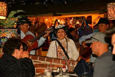 DSC_5635 (Large).JPG